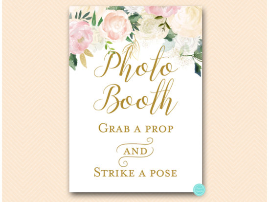 bs530p-sign-photobooth-pink-blush-party-table-signs