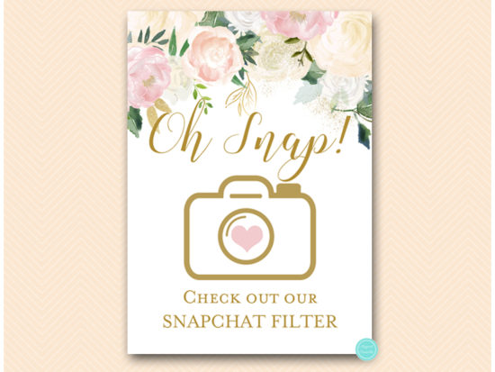 bs530p-sign-snapchat-filter-pink-blush-party-table-signs