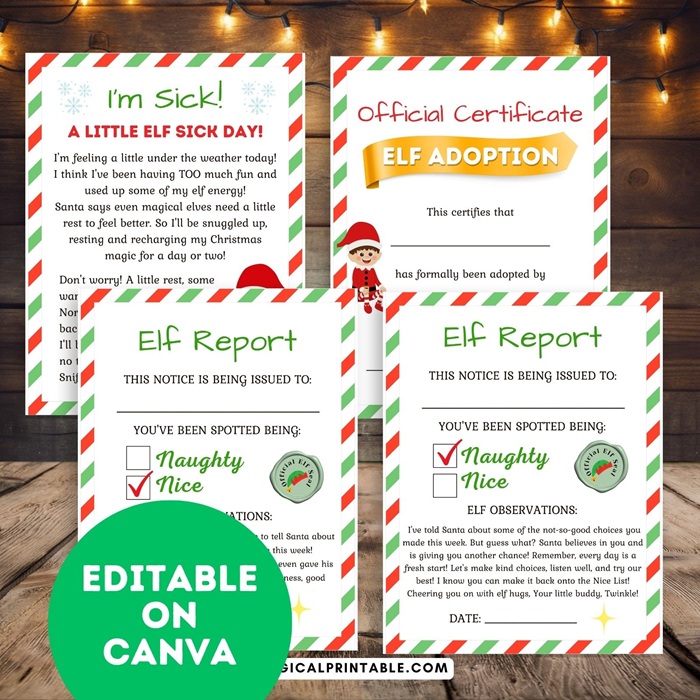 Elf on the shelf Kit certificate and report